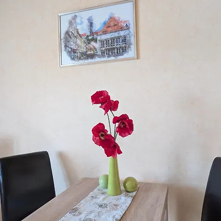 Ambiente An Der Elbe